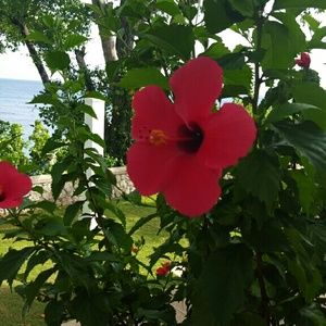 Meet your Posher, Meg