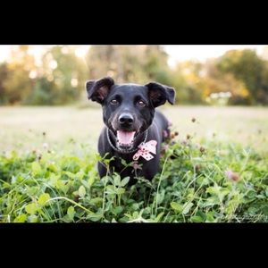 Meet your Posher, Kim