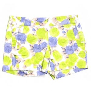 Watercolor J Crew Khaki Shorts Sz 2