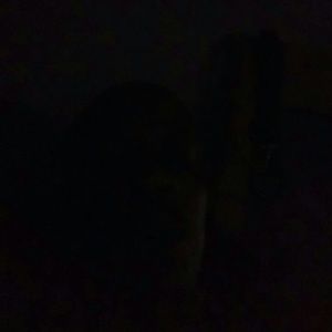 Meet your Posher, Martin