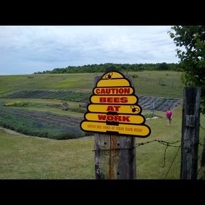 Meet your Posher, Suzan