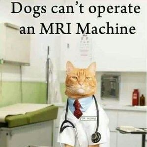 Meet your Posher, Petrie