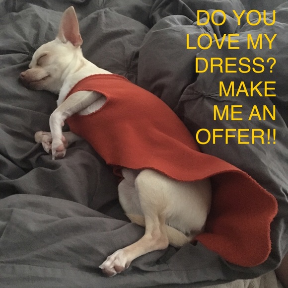 Meet your Posher, Susan - Picture 3 of 5