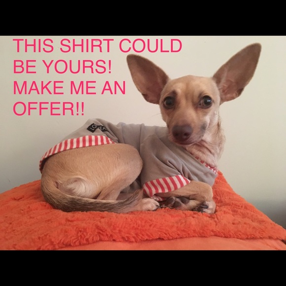 Meet your Posher, Susan - Picture 4 of 5