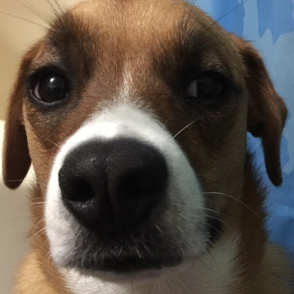 Meet your Posher, Cindy