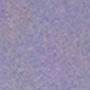 Meet your Posher, Lilly