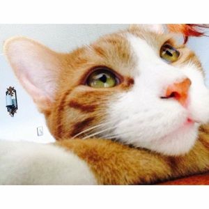 Meet your Posher, Jazmine