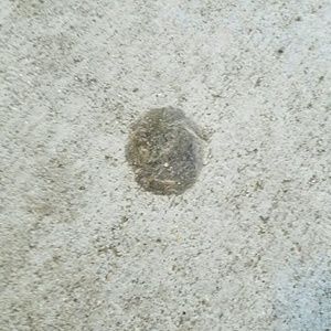 Meet your Posher, Angel