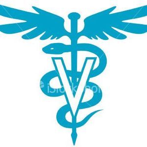 Meet your Posher, Kylie