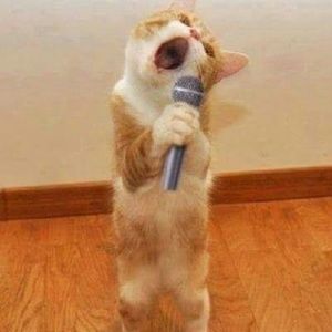 Meet your Posher, Yurisa