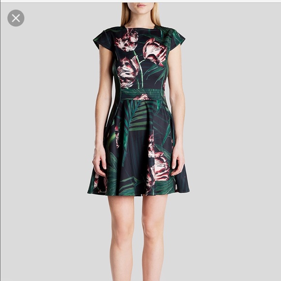 Ted baker florell dress size 0