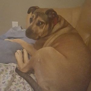 Meet your Posher, Adria