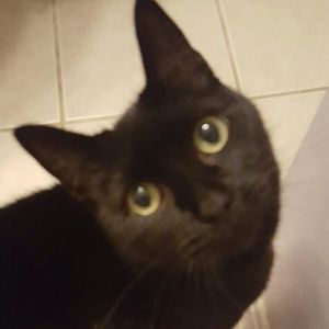 Meet your Posher, Georgia