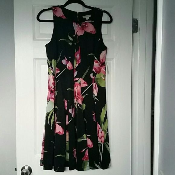 Tropical Twist to the LBD