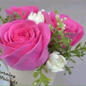 Meet your Posher, Roberta