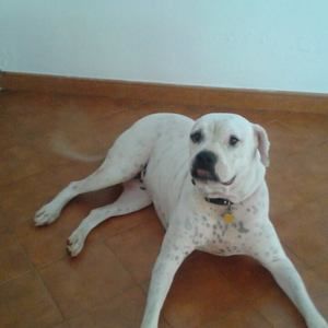 Meet your Posher, Aixa