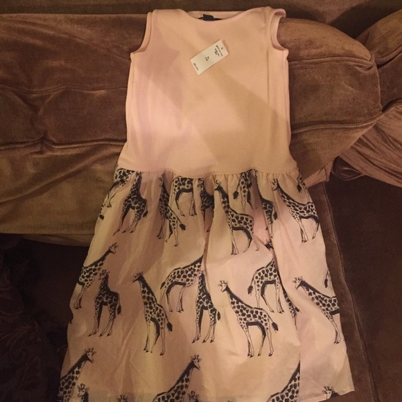 Size 12 Gap dress