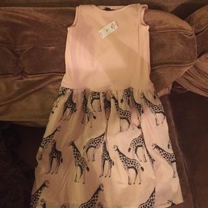 Size 12 Gap dress