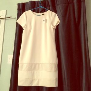 NWT Ann Taylor Dress