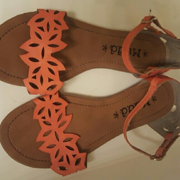 Orange Mudd flats