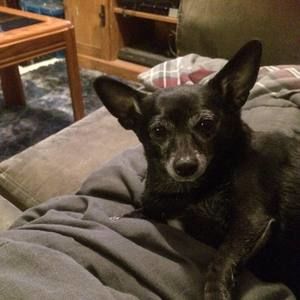 Meet your Posher, Tracey