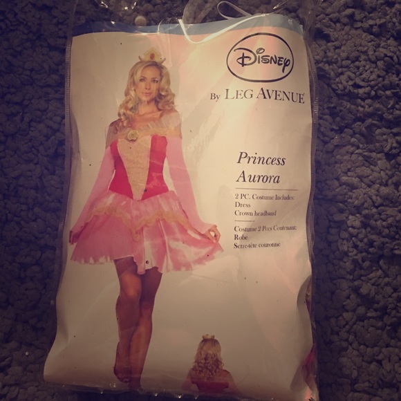 Disney Adult Sleeping Beauty Costume with Tutu!