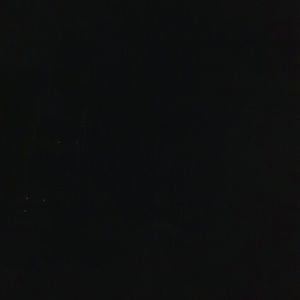 Meet your Posher, Gloria