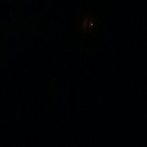 Meet your Posher, Mireya