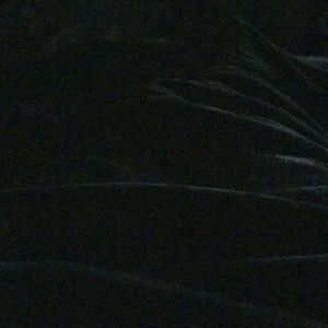 Meet your Posher, Reena