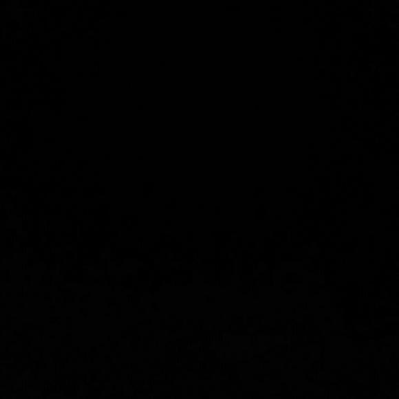 Meet your Posher, Ernest - Picture 1 of 1