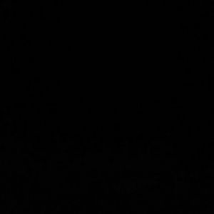 Meet your Posher, Ernest