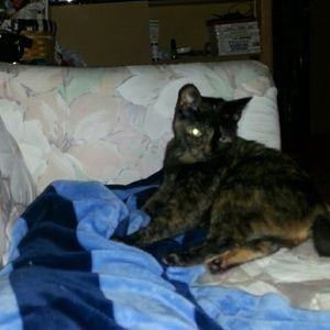 Meet your Posher, Kimberly