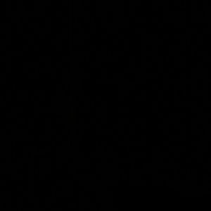 Meet your Posher, Pam