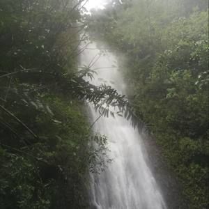 Meet your Posher, Pingping