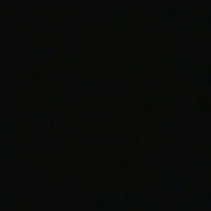 Meet your Posher, Cesar