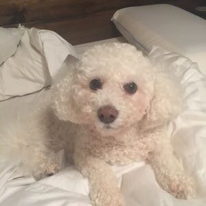 Meet your Posher, Sara