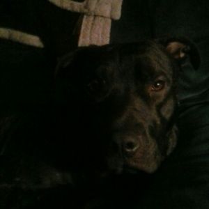 Meet your Posher, Janice