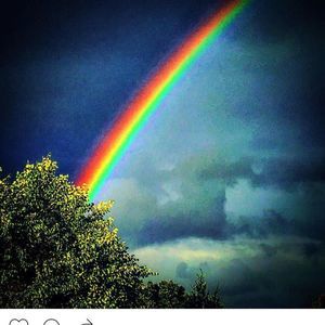 Meet your Posher, Lamar