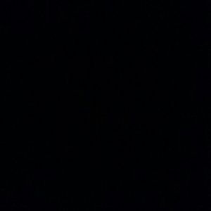 Meet your Posher, Darnell