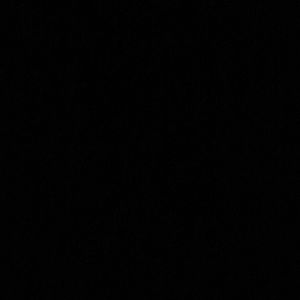 Meet your Posher, Day