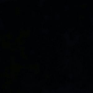 Meet your Posher, Lois