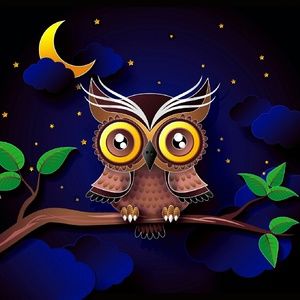 Meet your Posher, Heidi