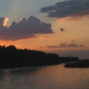 Meet your Posher, Timothy