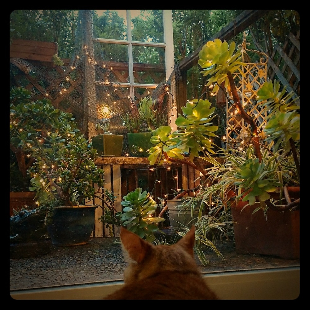 Meet your Posher, Karina