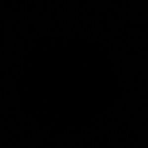 Meet your Posher, Jo_ellen