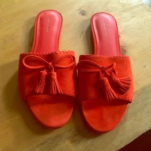 Ann Taylor Suede Slip on Sandals