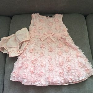 GAP Toddler Dress