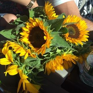 Meet your Posher, Alissa