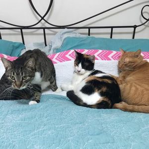 Meet your Posher, Hasnaa