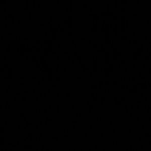 Meet your Posher, Celia